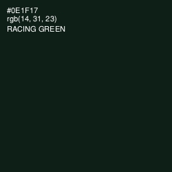 #0E1F17 - Racing Green Color Image